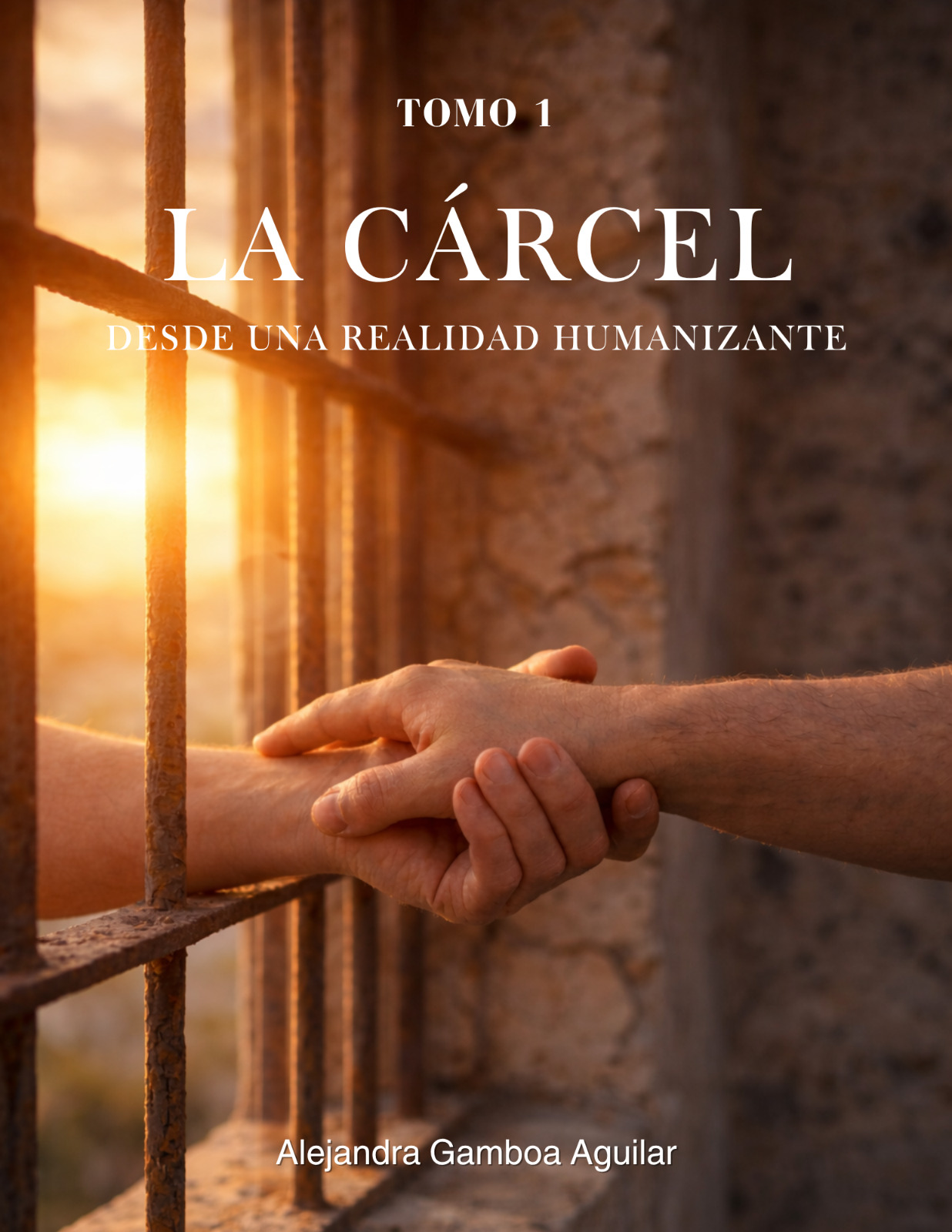 Tomo 1 – La Cárcel desde una realidad humanizante